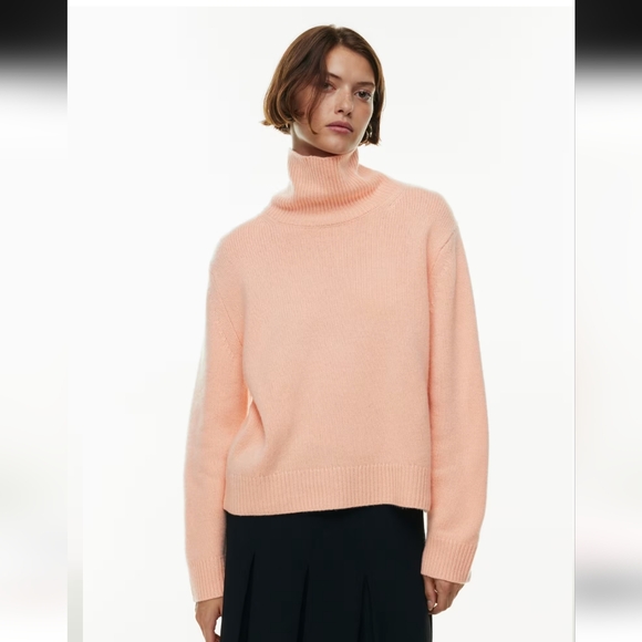 Aritzia Sweaters - Aritzia Wilfred Luxe Cashmere Sweater